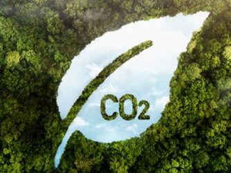 Prepara’t per calcular la petjada  de CO₂ de la teva empresa|Curs de petjada de CO₂